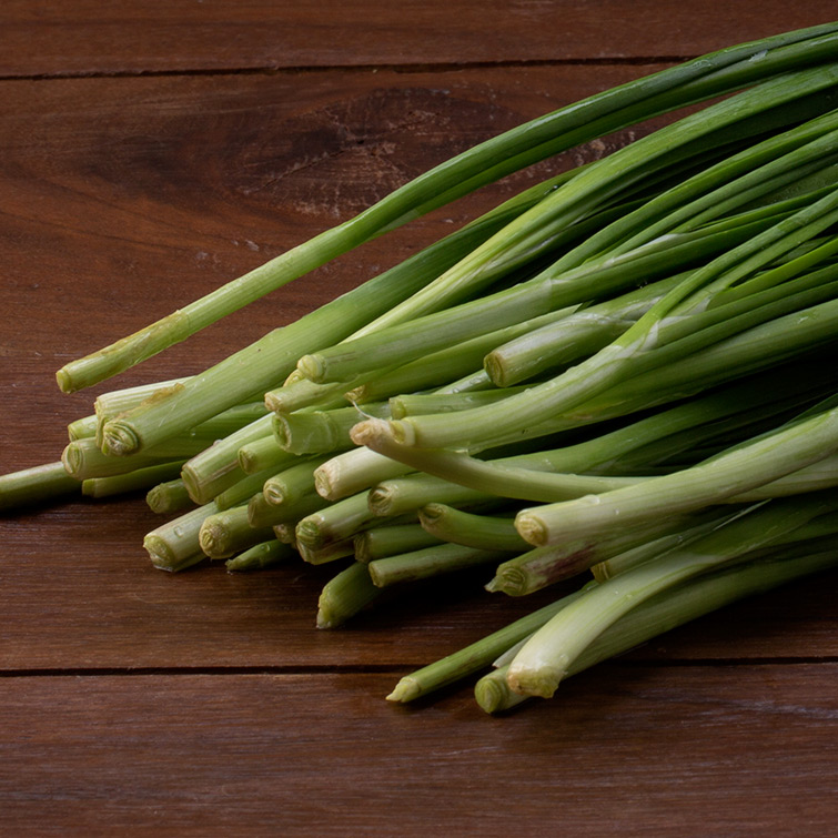 lemon grass lemon grass